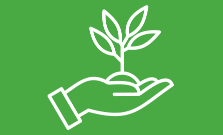 An icon of a hand holding a seedling in its palm on a green background