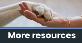 A web banner with a picture of a hand holding a dog paw. The banner reads "more resources"