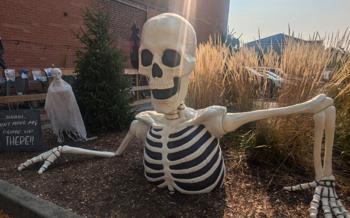 Torso and head of a plastic skeleton places on the ground to look like it is climbing out of the dirt